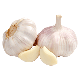 سیر نو (خشک) معمولی