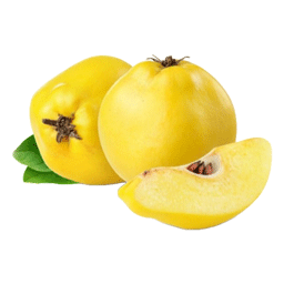 به مرغوب