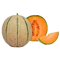 غیر نمایش 8