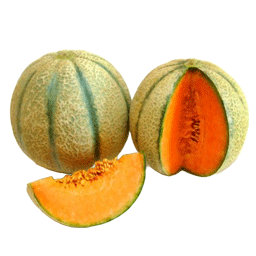 غیر نمایش 6