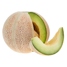 غیر قابل نمایش 