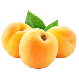 عیر نمایش 