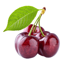 گیلاس