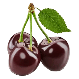 گیلاس تک دانه معمولی