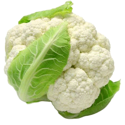 کلم گل مرغوب