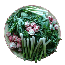 سبزی خوردن بدون ریشه با ریحان