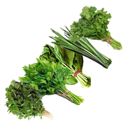 سبزی خورشت (5 قلم )