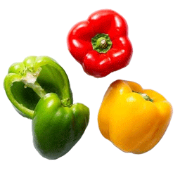 فلفل دلمه رنگی گلخانه ای (بسته ای)