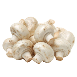قارچ مرغوب (فله) صادراتی