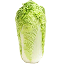 کاهو چینی