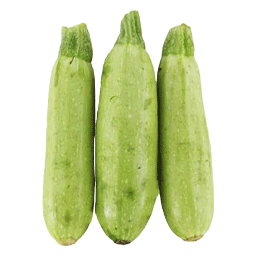 کدو 