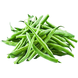 لوبیا سبز معمولی