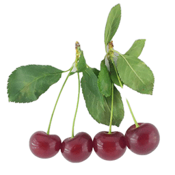 غیر نمایش