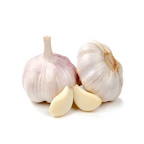 سیر نو (خشک) مرغوب